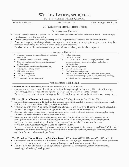 sample resume for vp director of human resources