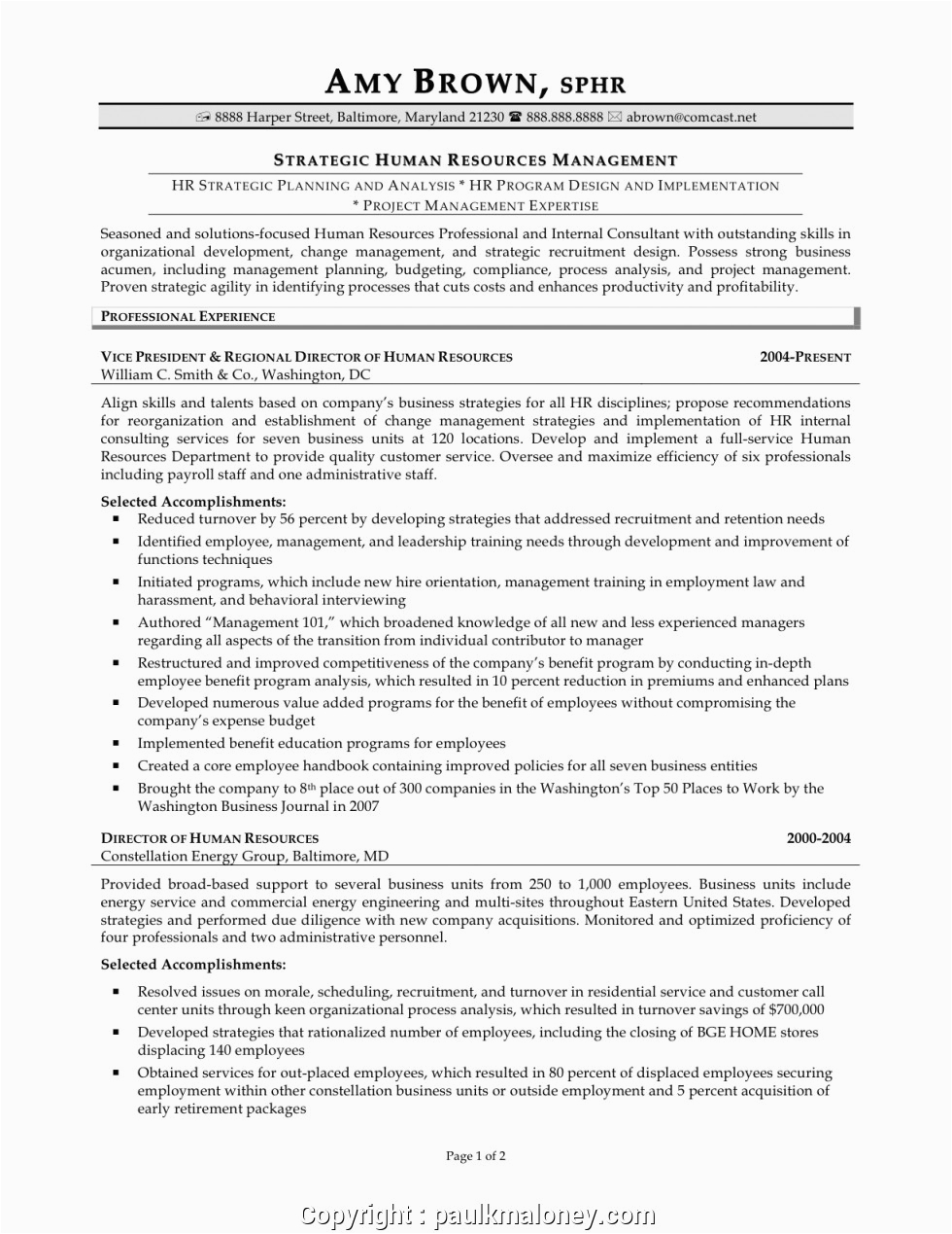 unique vp human resources resume