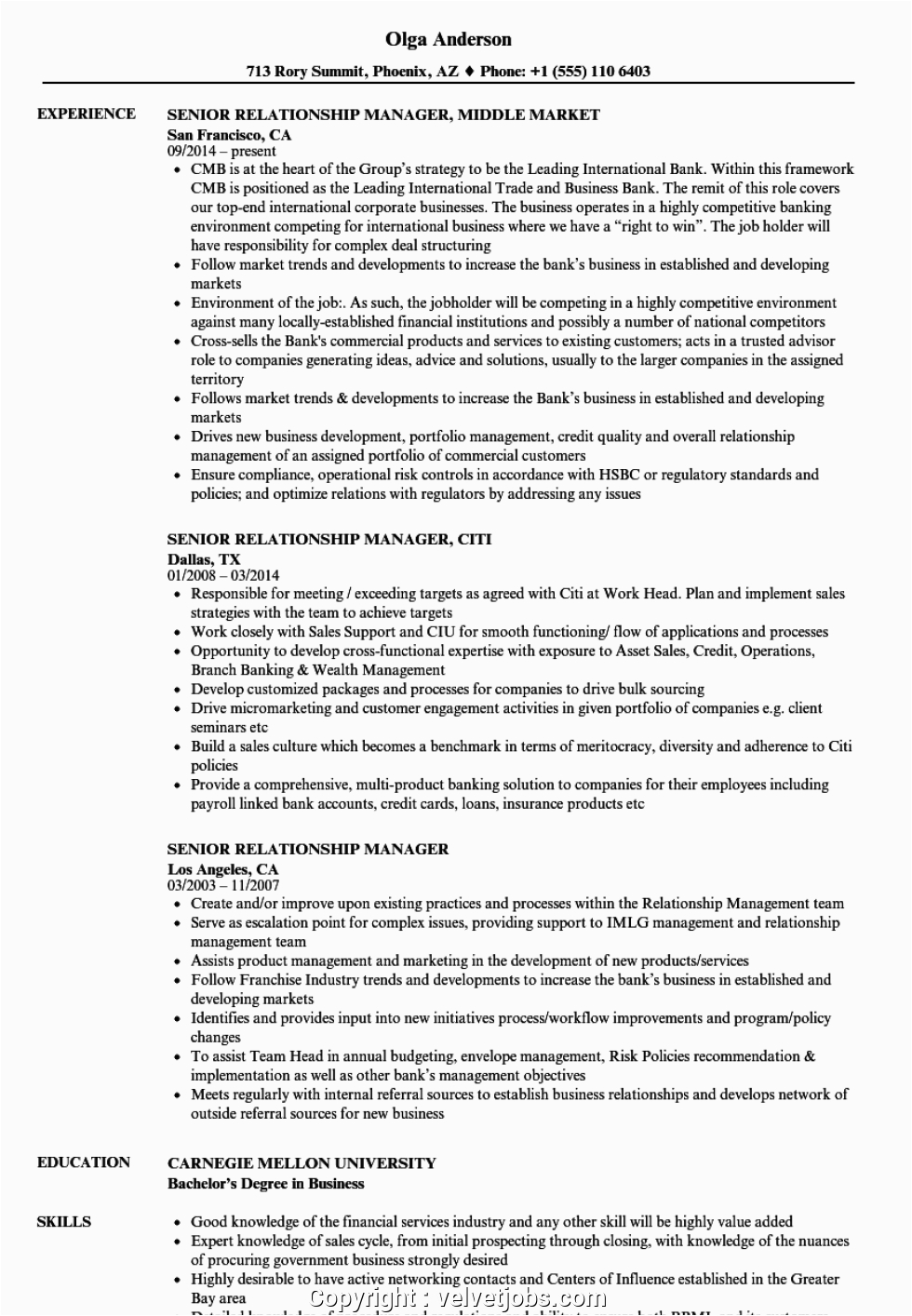 newest rbc account manager resume