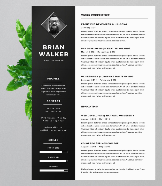 15 eye catching resume templates that will you noticed