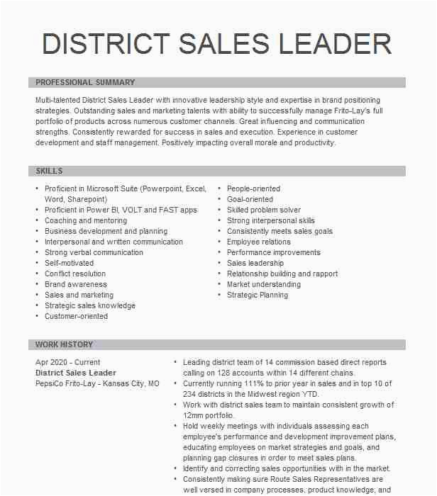 district sales leader 783c816f ffbb26b4d5fe778d689