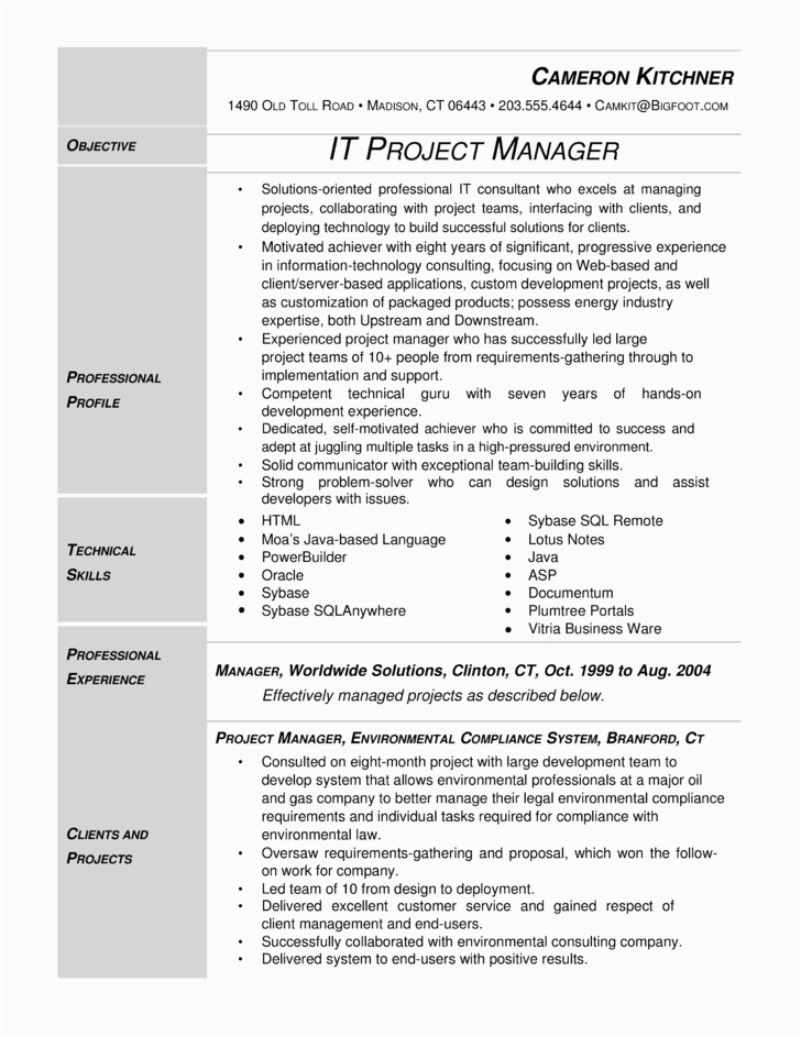 modern it project manager resume templates and samples