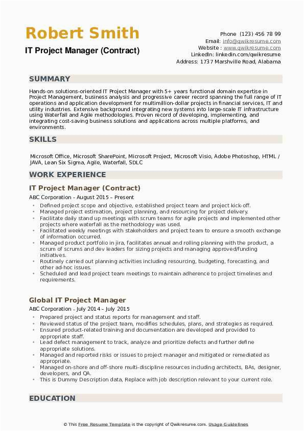 It Project Manager Resume Template Free Download It Project Manager Resume Samples