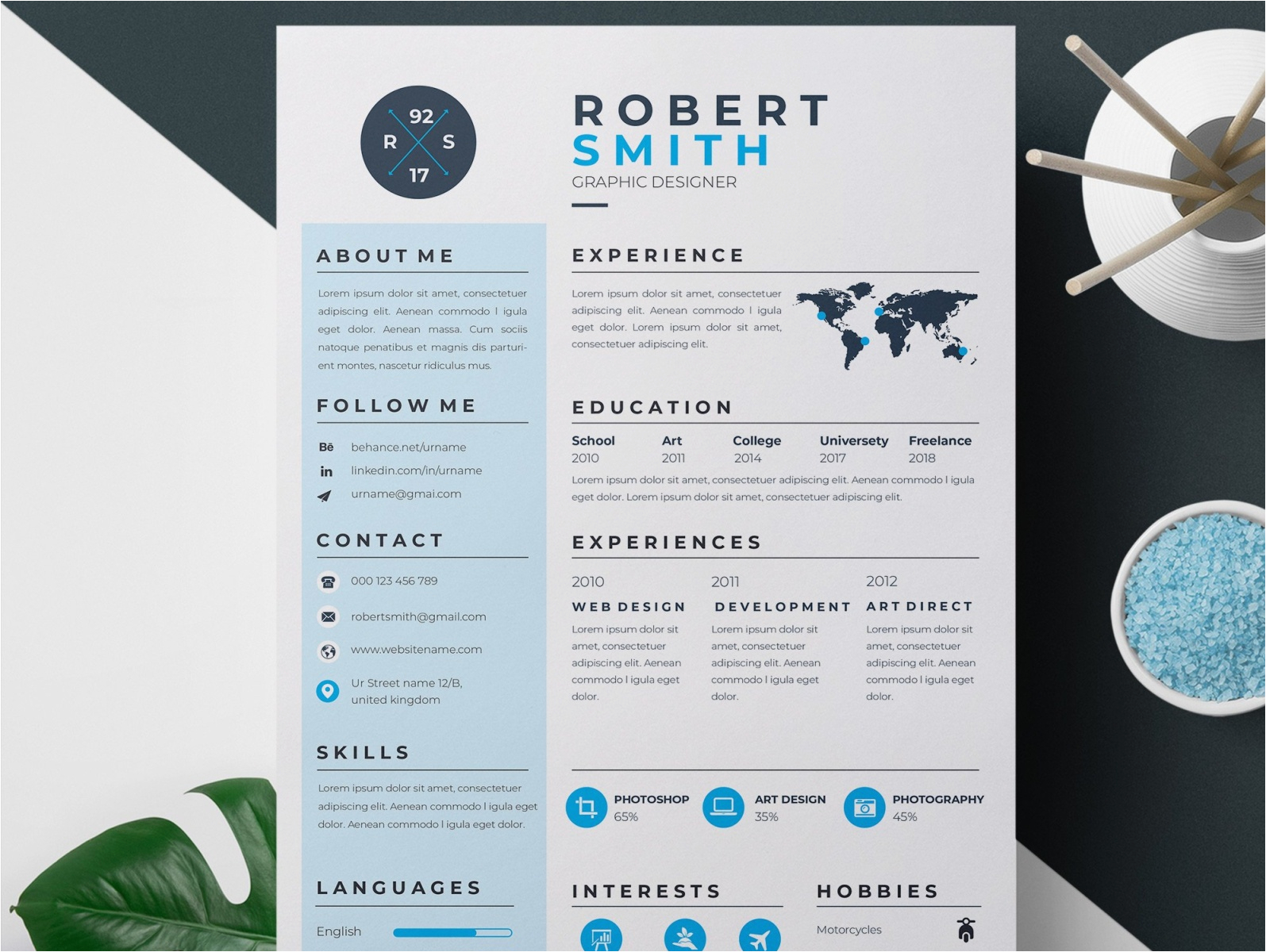 Professional Resume 2 Page CV Template