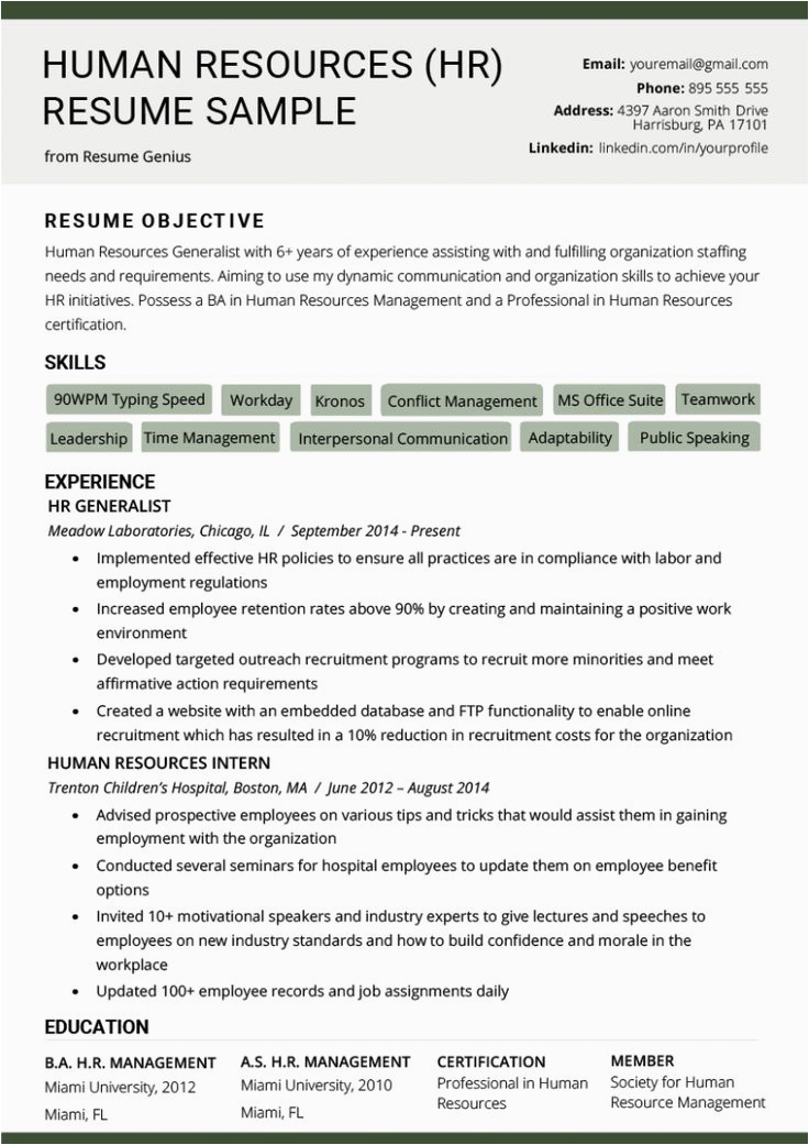 Resume Headline Samples for Human Resources 11 Free Hr Skilled Resume Templates