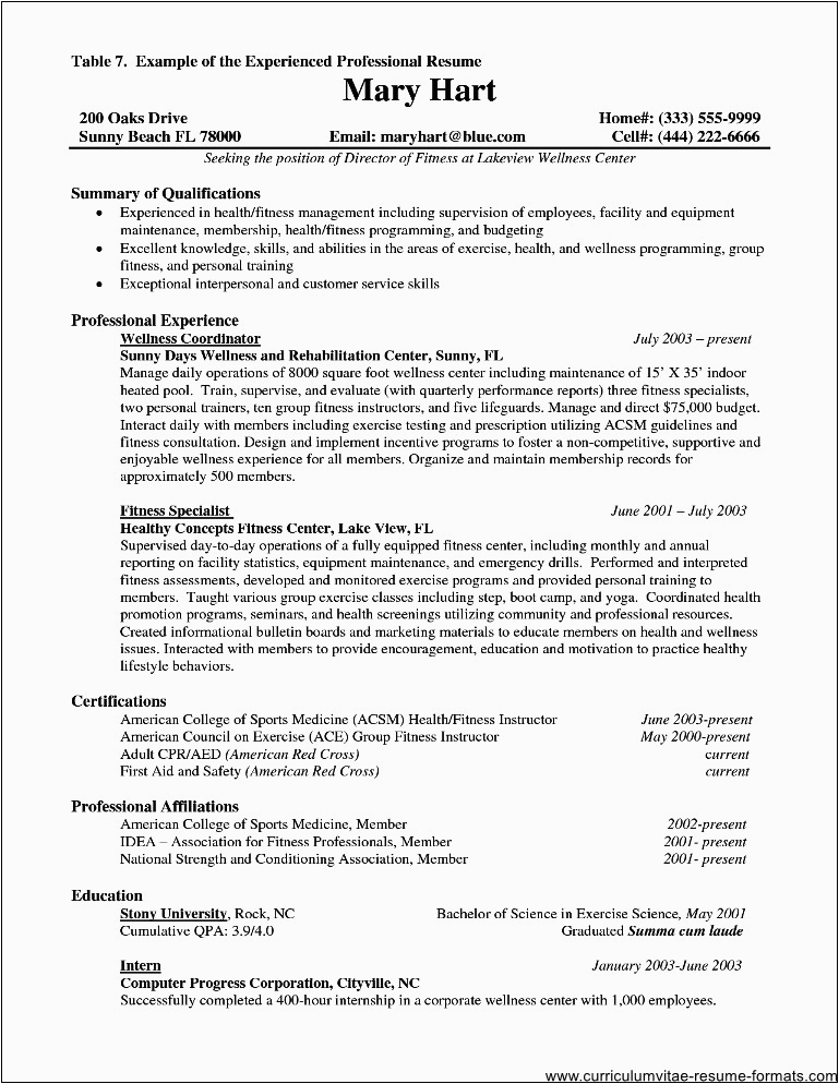 Resume Objective Sample for Experienced It Professionals Resume for It Professional with Experience