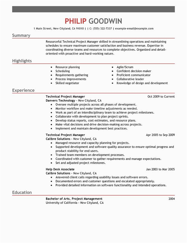 project lead resume 2487