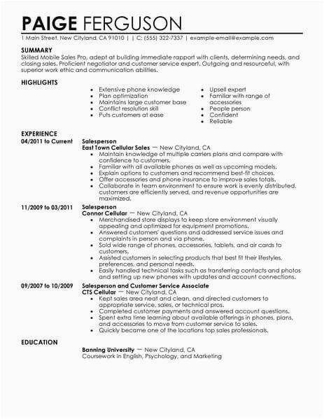 resume examples for retail experience