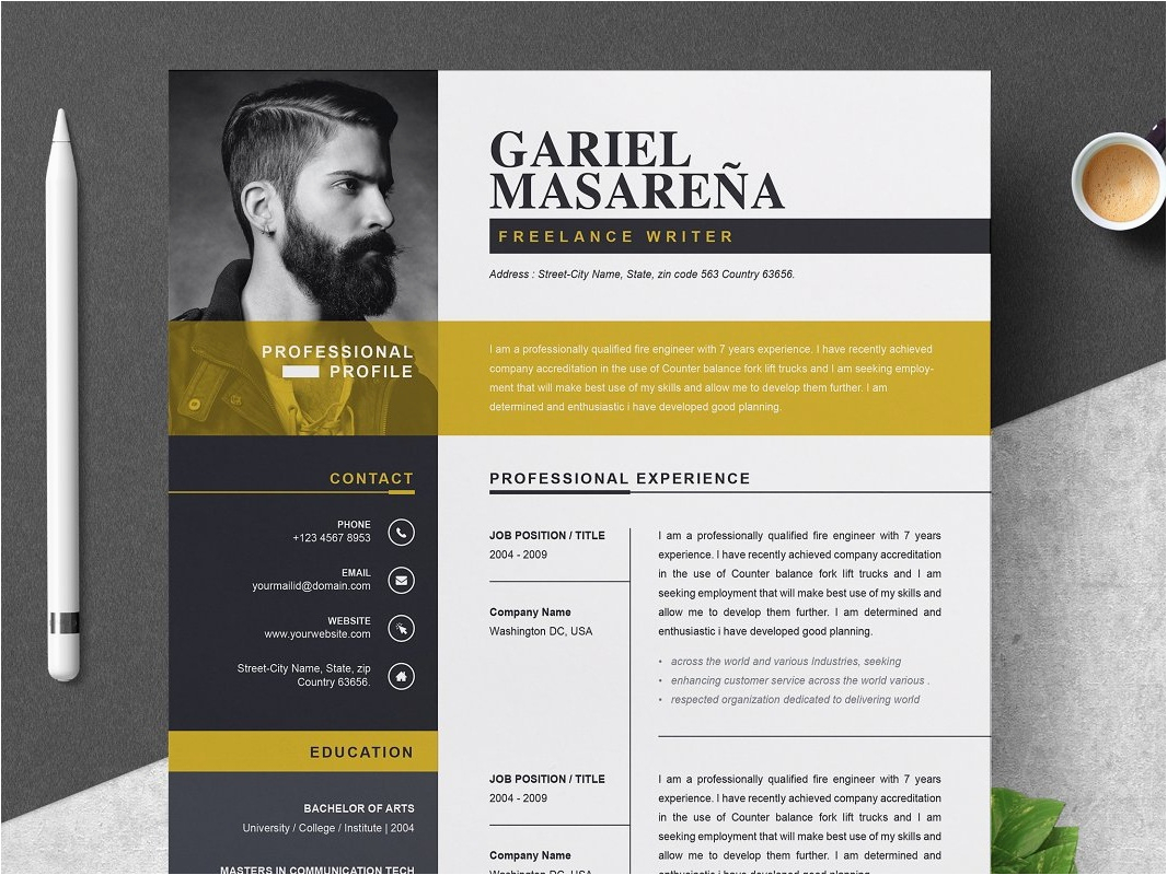 Professional Word Resume Cv Template