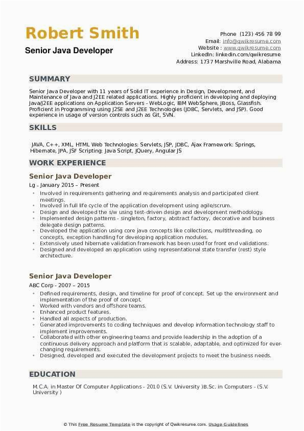 Rpa Developer Entry Level Resume Sample Java Developer Summary Resume In 2020