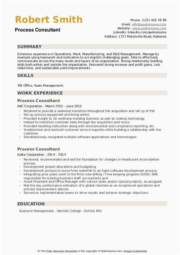 Rpa Developer Entry Level Resume Sample Process Consultant Resume Samples