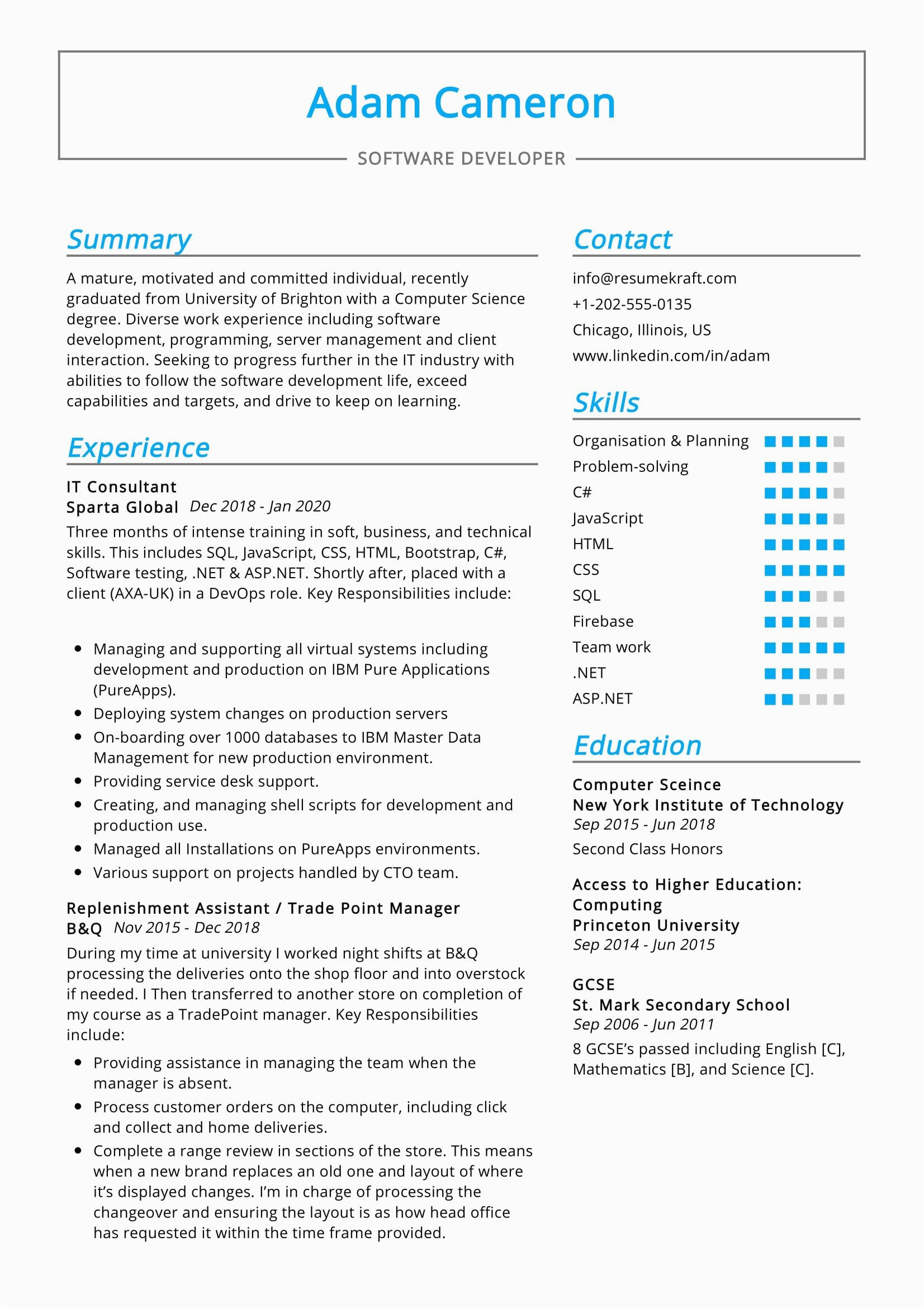 it consultant resume sample