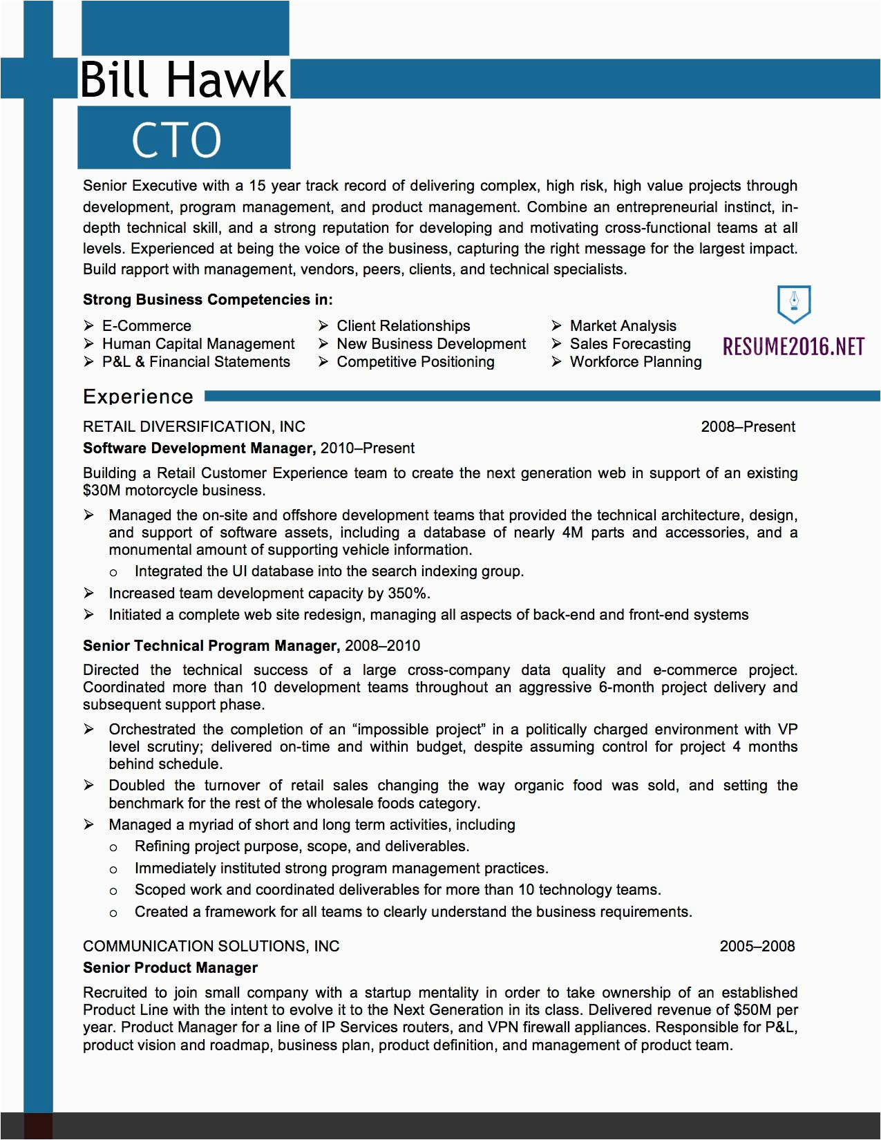 it resume samples 2016 cto