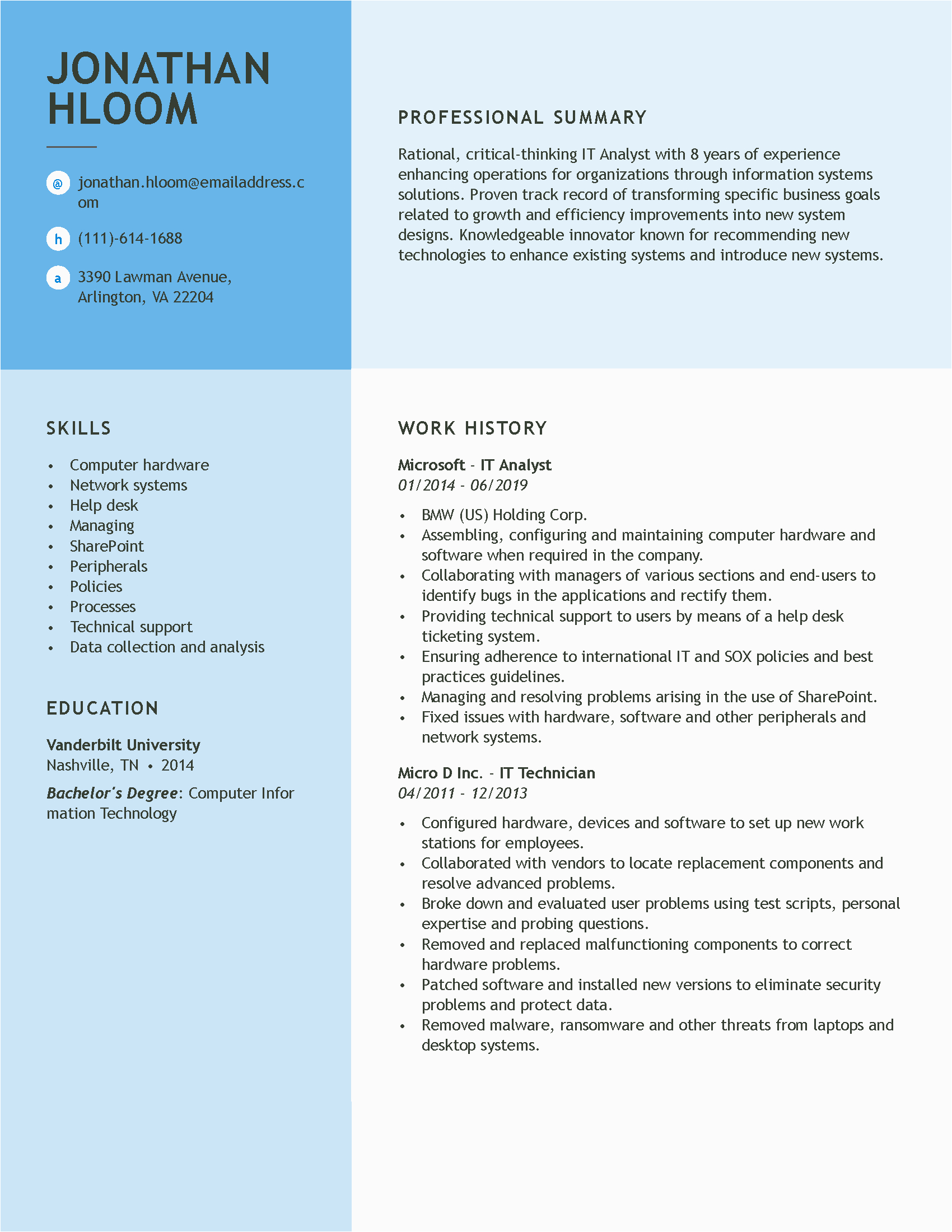 professional resume examples